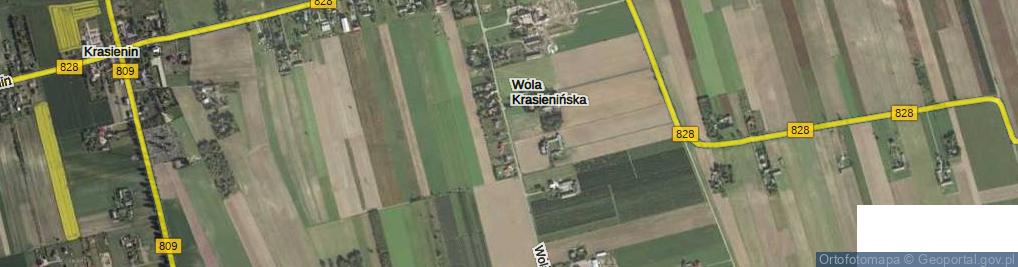 Zdjęcie satelitarne Wola Krasienińska ul.